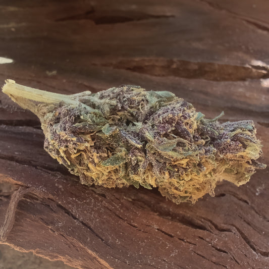 La Purple Haze | Phoenix CBD