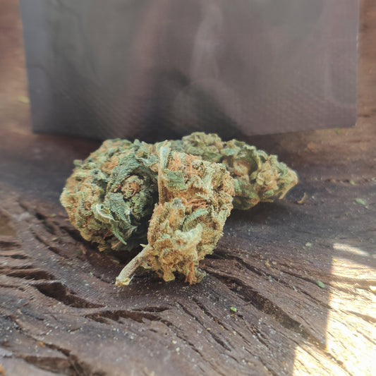 La Sweet Melody Small Bud | Phoenix CBD